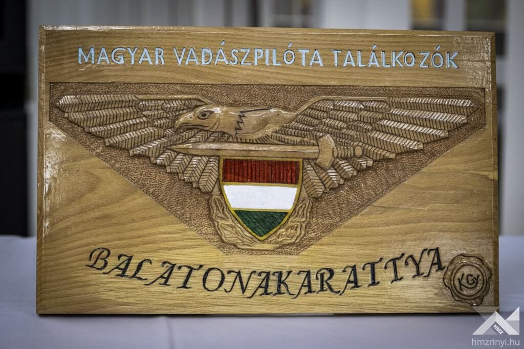 6911ad65a0a62006148260